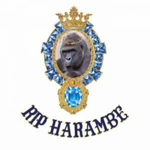 RIP HARAMBE